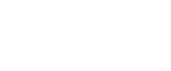 bears in the city 321-236-2327